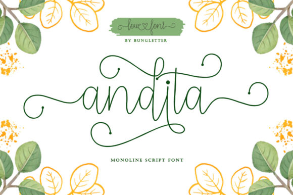 Andita: A Script Handwritten Font for Luxurious Digital Branding