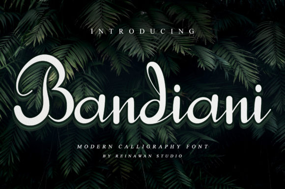 Bandiani: A Script Handwritten Font for Creative Crafters