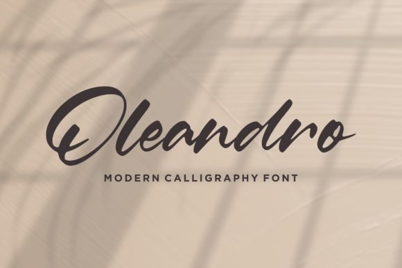 Oleandro: The Font That Elevates Your Brand’s Visual Story