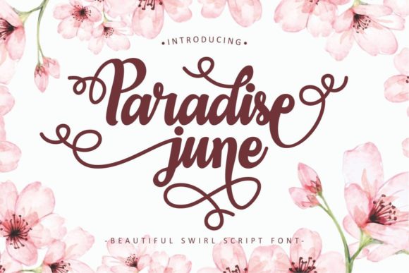 Paradise June: A Font That Elevates Your Brand