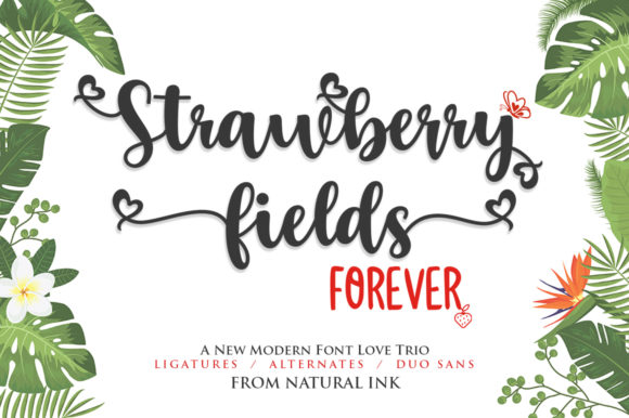 Strawberry Fields Forever: A Script Handwritten Font for Editorial Design