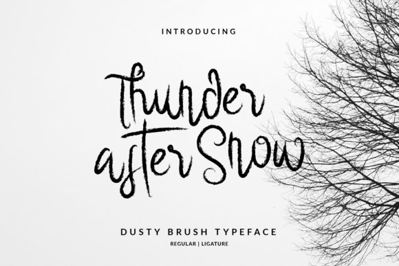Thunder After Snow: A Playful Script Font for Creative Crafters